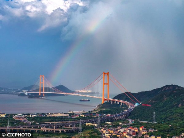 融金牛 盛夏彩虹
