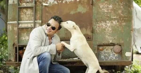 大牛证券 狗狗尾巴摇不停，真把你当全世界？