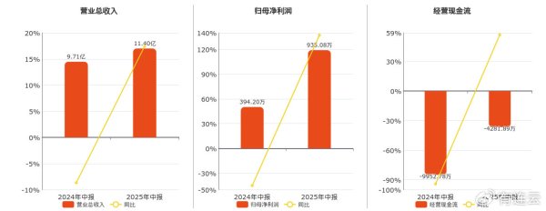 景盛配资 巨力索具(002342.SZ): 2025年中报净利润为935.08万元